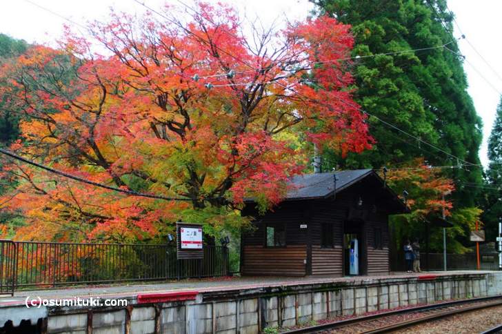 二ノ瀬駅と叡電の紅葉写真