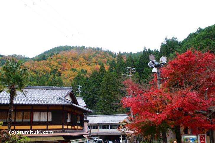 鞍馬の紅葉写真