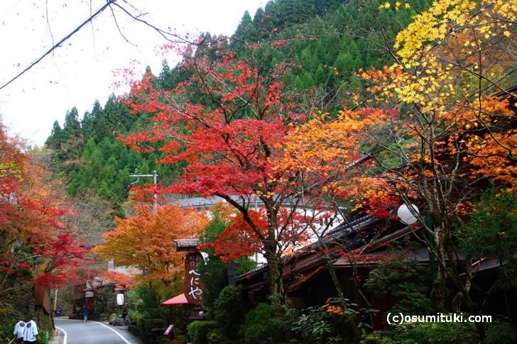 2017年の京都・紅葉は例年より落ちます(写真は貴船)
