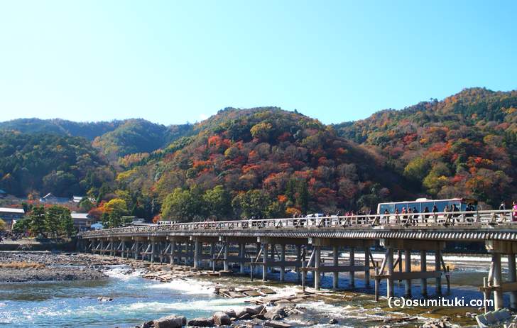 京都の紅葉ピークはすでに過ぎており終盤です