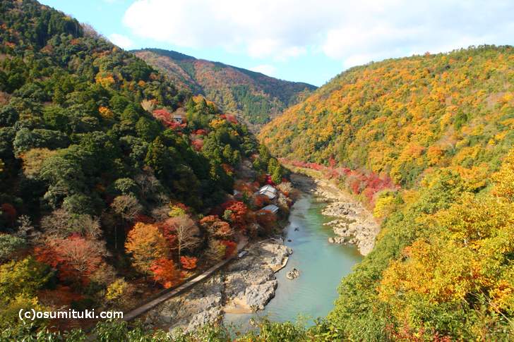 紅葉の穴場「嵐山公園 亀山地区 展望台」から見た紅葉