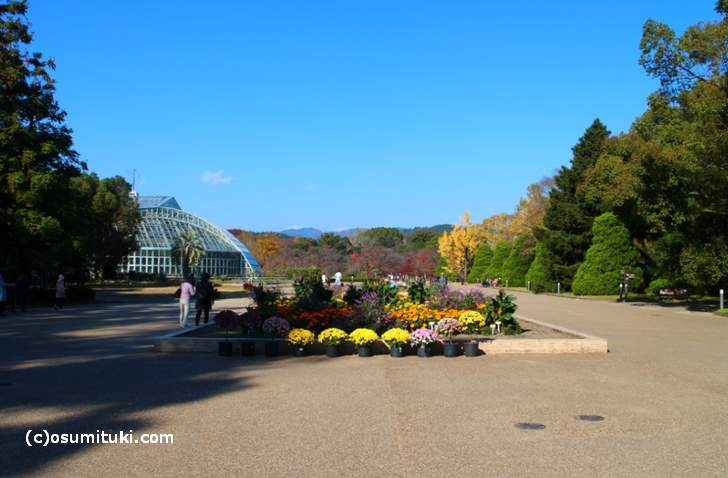 かなり広い植物園です(京都府立植物園)