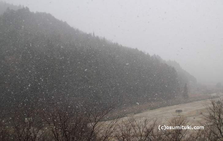 京都府綾部市の山では積もるほど吹雪いていました（2017年12月13日14時頃）