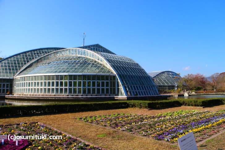 京都府立植物園の正門近くにある世界一高い抹茶ジェラートがテレビで紹介