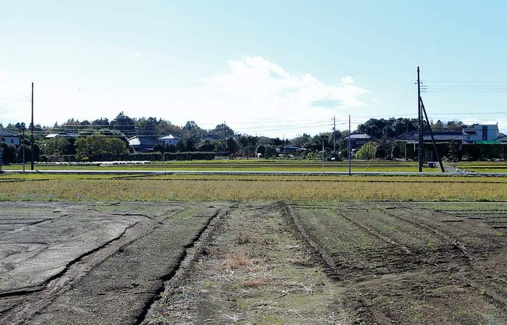 耕作放棄地を使って新しいビジネスを創造していく必要があります