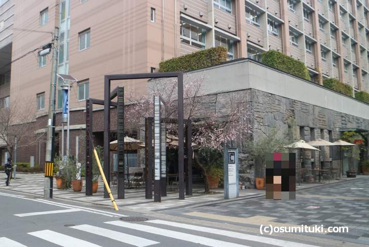 御池桜は京都御池創生館前にある桜です(2018年1月19日撮影)