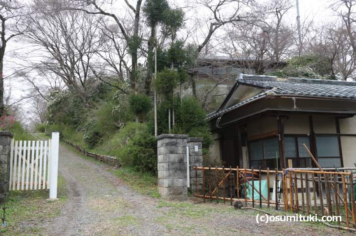 2018年3月19日の原谷苑、まだ一部の桜・梅が咲いているだけでした