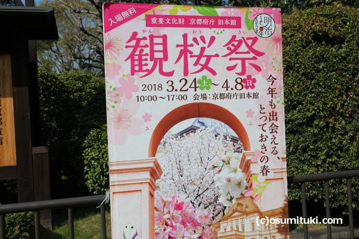 京都府庁 旧本館で開催中の「観桜祭(かんおうさい)」の桜を見に来ました