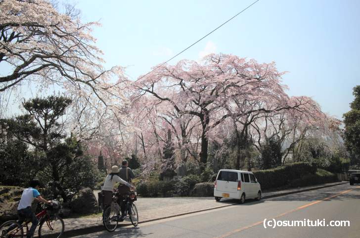「植藤造園」さんの入口