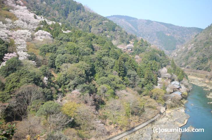 3月28日と29日は、嵐山は若干モヤっぽい感じで少しボンヤリした風景でした(2018年3月29日撮影)