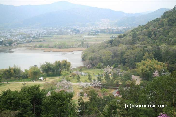 平安郷の敷地に咲く桜と広沢池を一望できる「東山」
