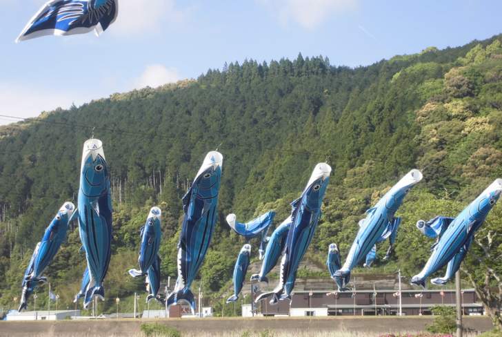 ともこ工房は高知県幡多郡黒潮町にあります。写真は黒潮町の名物「カツオのぼり」