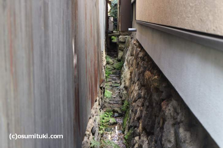 京都の東山は「高低差だらけ」の場所で、住宅の境界にも崖があります