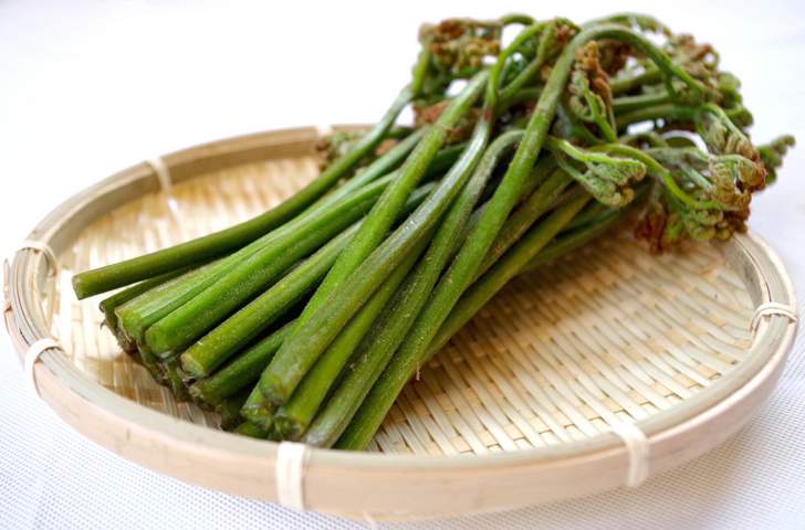 西和賀町 最高級ブランドわらび「西わらび」が『満天☆青空レストラン』で紹介