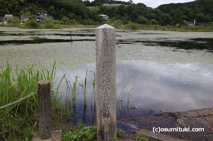 「深泥池水生植物群落」と書かれた昭和2年の石碑