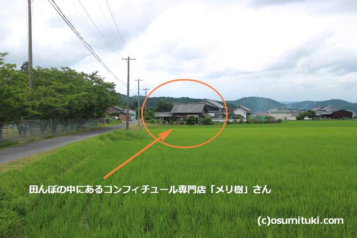 メリ樹 三重県伊賀市の大山田にあるコンフィチュール専門店