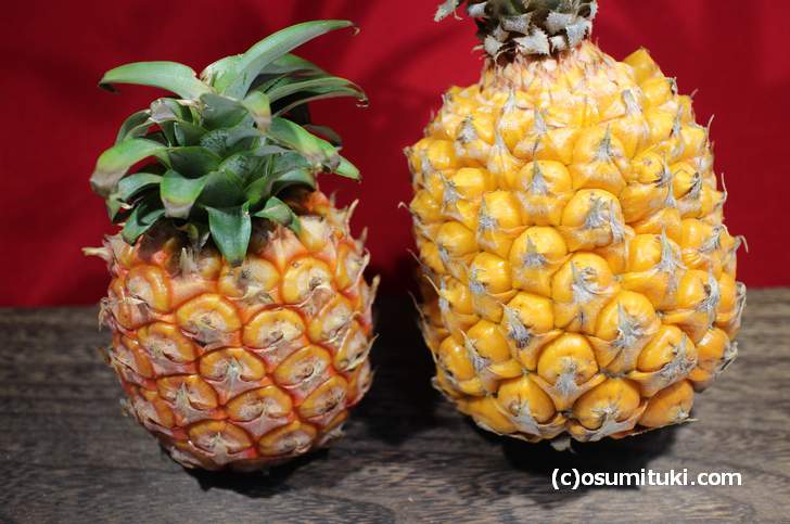 石垣島のパイナップル（左：ピーチパイン、右：ボゴールパイン）