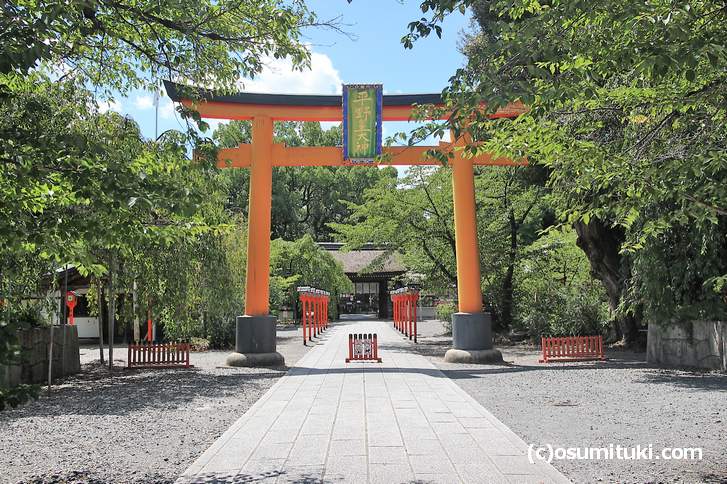 あまりの暑さに人がいない平野神社(京都市北区)