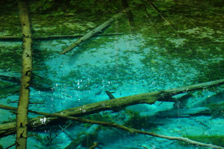 北海道・清里町といえば「神の子池」