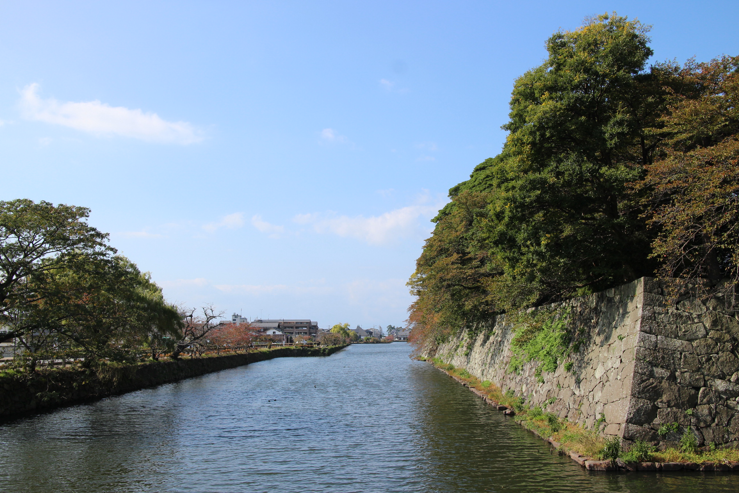 井伊家といえば滋賀県の堅牢な城壁を持つ彦根城です