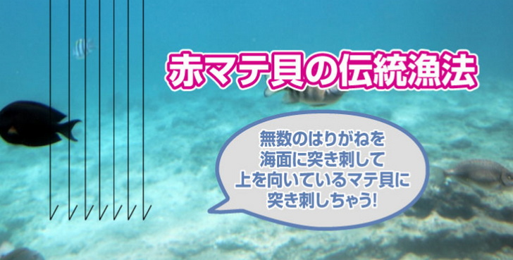 赤マテ貝は春がおいしい 長崎県佐世保市の伝統漁法 青空レストラン 京都のお墨付き