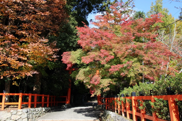 大田神社は京都市北区の上賀茂神社近くにあります