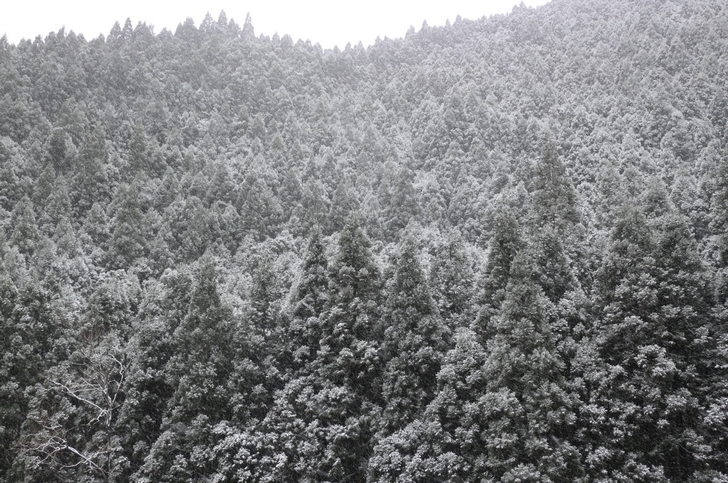 1月14日昼過ぎの京都「十三石山」付近は山が白く吹雪になっています