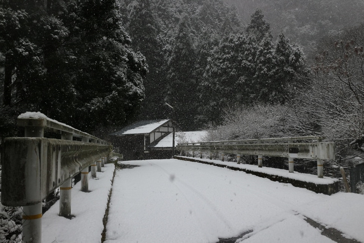 京都・雲ヶ畑ではこんこんと雪が降り積もっていました