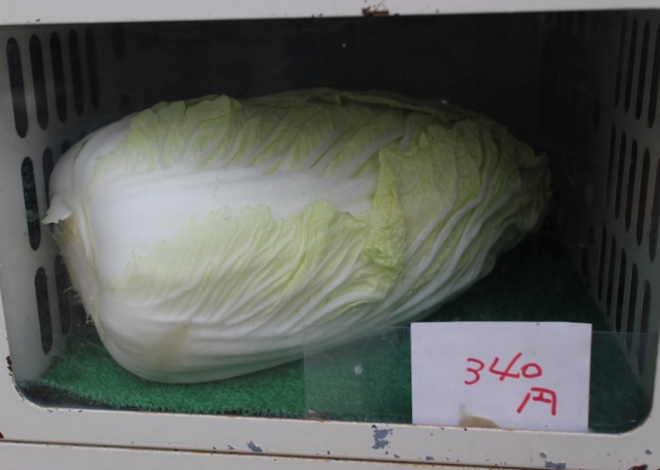 野菜の無人販売は見つけるのが難しいですが新しい発見があるかもしれません