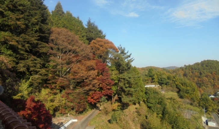 岡山県吉備中央町の近くの山間部の様子