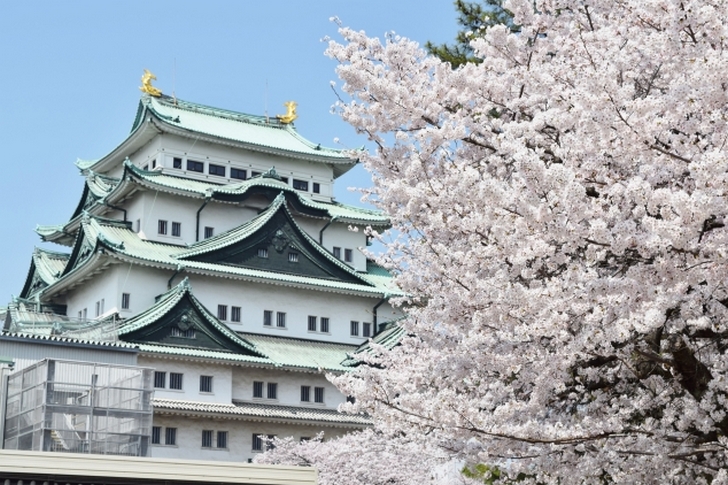 春の名古屋城