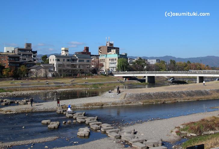 京都の鴨川にはカモをはじめ多くの野鳥がいます