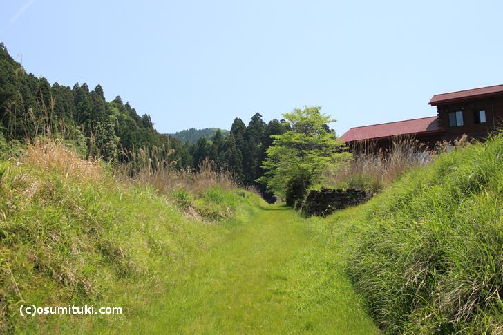 今回の「京都秘境ハンター」は花脊です