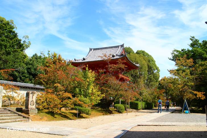 2017年10月8日、京都・仁和寺は少し紅葉づいています