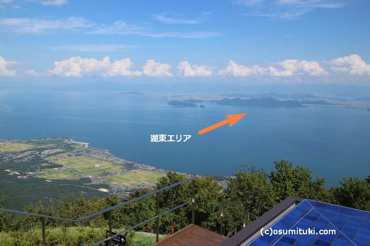 琵琶湖の湖東エリアで捕獲された「ノコギリ状のひれを持つ怪魚」がテレビで紹介