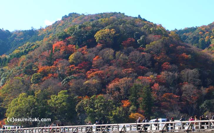 京都・嵐山の紅葉 2017年11月24日