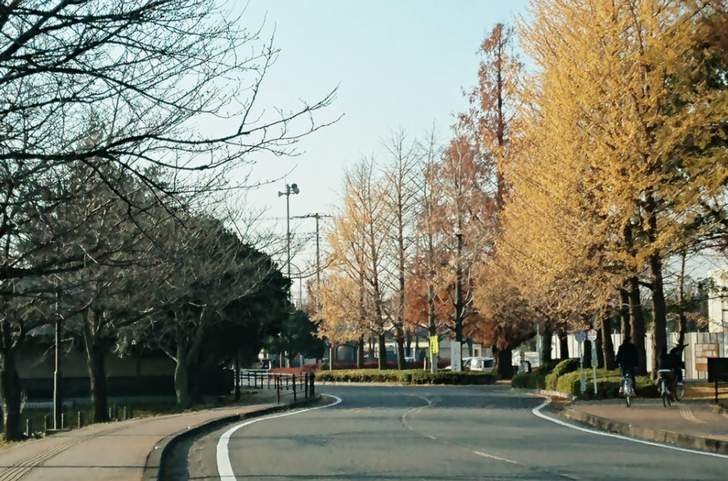 2017年12月19日に行田駅へ向かう大通りで「陸王」撮影ロケ（写真は行田市 公園通り）