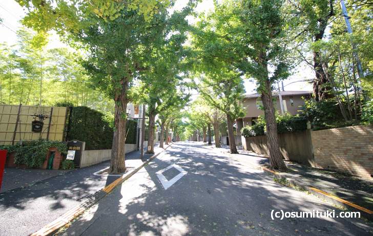 田園調布といえば東京で最強の高級住宅街（写真は田園調布）