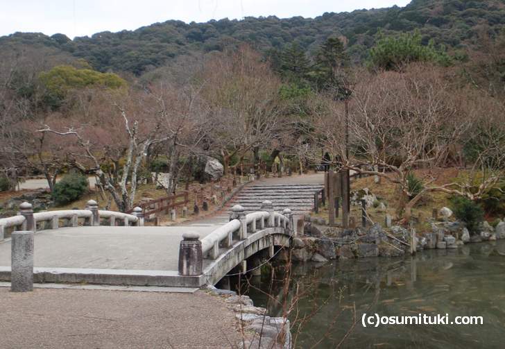 八坂神社の奥は「円山公園（まるやまこうえん）で屋台も出ています