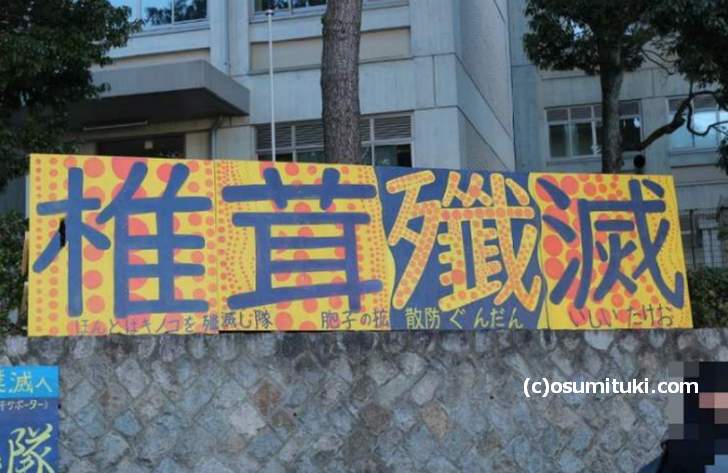 京都大学のある「百万遍交差点」に椎茸殲滅の看板が設置されています