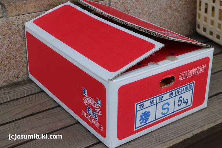 京都で赤箱といえば「的兵みかん」というほど有名なミカンです