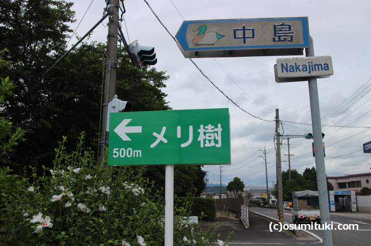 平田宿（伊賀街道の宿場）の近くにある「メリ樹」さんの道案内看板