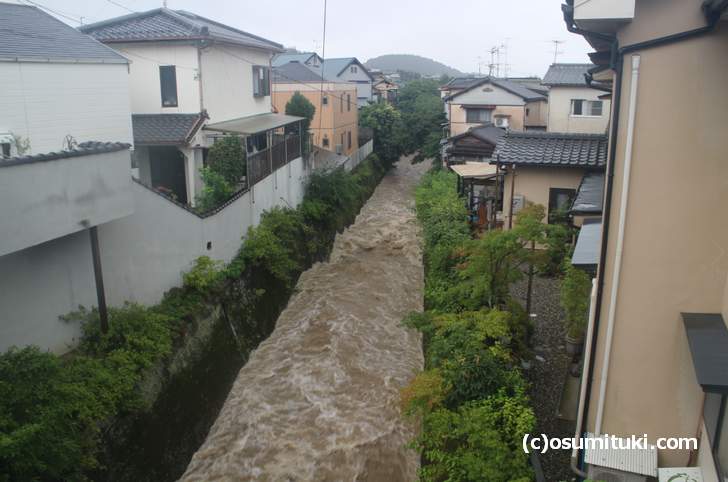 京都府道29号線「鳴滝橋」から見た増水状況（2018年7月6日11時56分撮影）