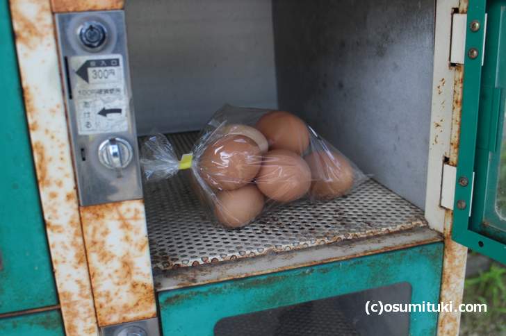 なかなか購入できない無人販売の卵（京北）