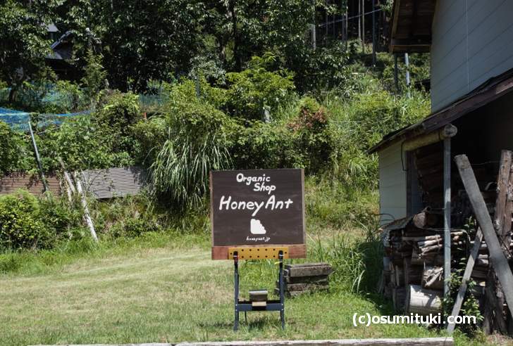 京都の山奥にあるオーガニックショップ「ハニーアント（HoneyAnt）」