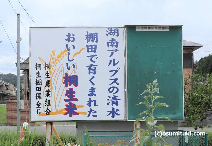 お米は自家製の「桐生米」を使っているそうです