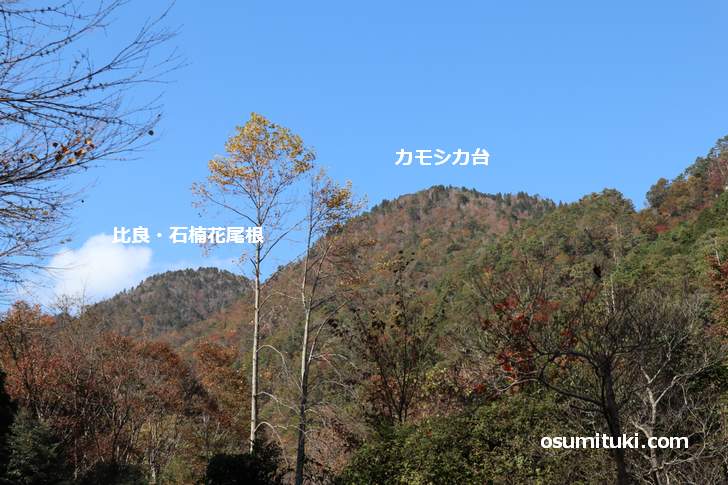 前山があるのは「カモシカ台」と「北比良峠」の間