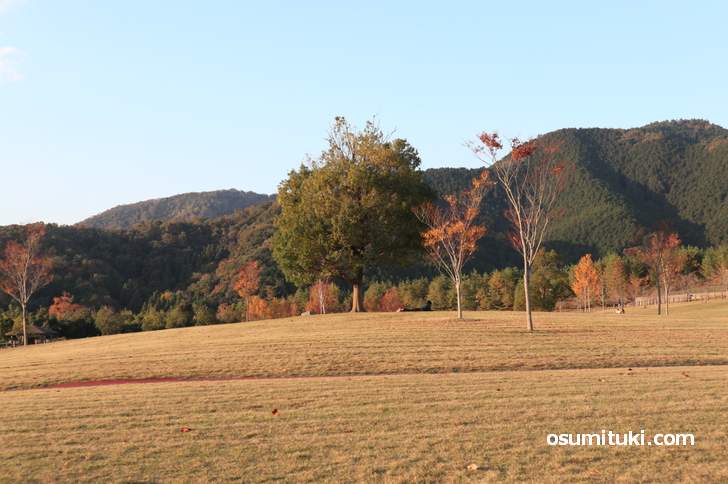 三段池公園の紅葉、奥に見える烏ケ岳付近は秋の雰囲気です(2018年11月10日)