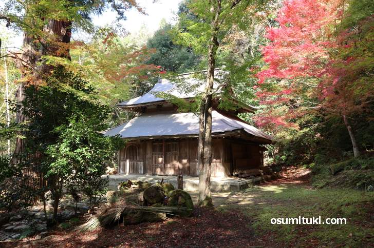 京都・鷹峯「大徳寺讃州寺」の紅葉は見頃でした(2018年11月10日撮影)
