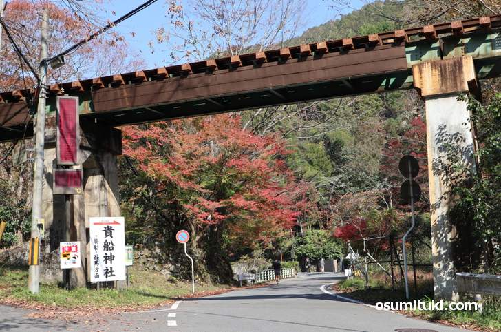 市原から貴船口までは旧道の紅葉を見ていきました(2018年11月11日撮影)